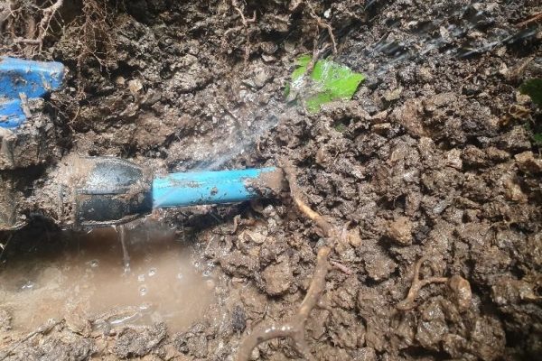 Water Mains Leak Detection Beverley